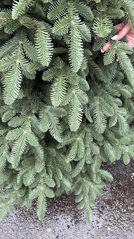 NOVÉ VIANOČNÉ FULL 3D STROMČEKY - 5