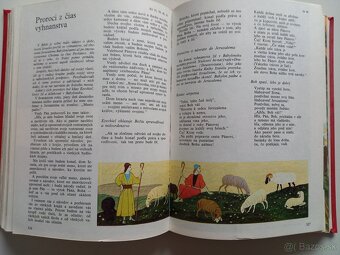 Obrázková biblia - 5