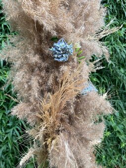 Svadobný oblúk - 5