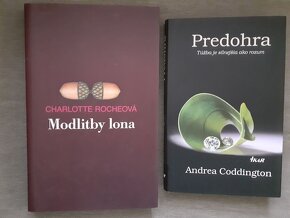 BELETRIA - M. KUNDERA, M. BALOGHOVÁ  A  INÉ - 5