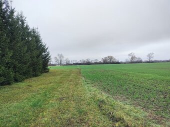 Pozemok Sečovce, sklady a výroba - 5