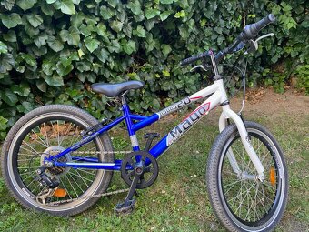 detský bicykel MAYO Hobby 20 - 5
