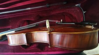 PREDAM OROFESIONALNU VIOLU - 5