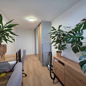 3i, OV, 54m2 + 6m loggia, Západ/ Terasa, po rekonštrukcii, z - 5
