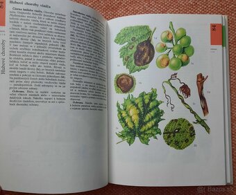 Atlas chorôb a škodcov ovocných drevín a viniča - 5
