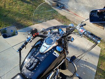 Kawasaki VN 1500 Classic - 5