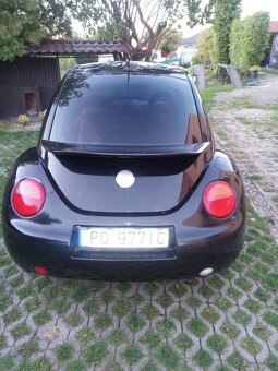 New Beetle - 5