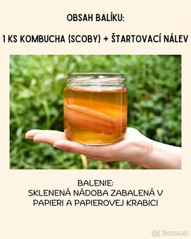 Kombucha - čajová "huba" - 5