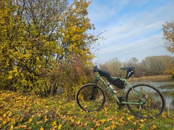 Kellys Phanatic 10 - 5