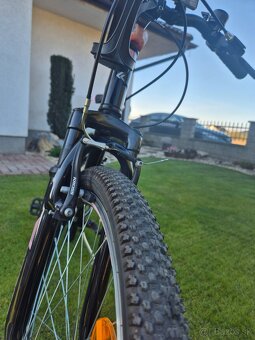 Predam Kross Lea Jr. 24 - 5