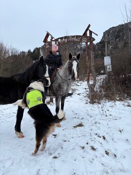 Valach s top povahou - 5