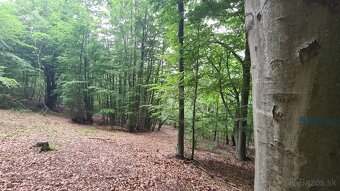 EXKLUZÍVNE na predaj pozemok 2,4ha v obci Hrabičov - 5