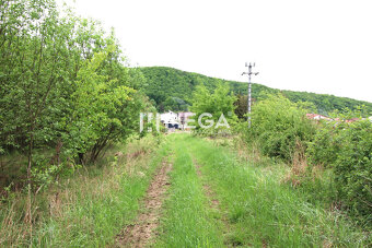 NA PREDAJ INVESTIČNÝ POZEMOK V OBCI ZEMPLÍNSKE HÁMRE 3114 m² - 5