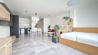 VELKOMETRÁŽNY 1 IZB.AP.BYT-TRNAVSKÁ CESTA,RUŽINOV,BRATISLAVA - 5