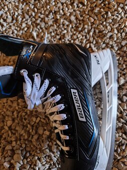 Korcule na lad Bauer - 5