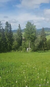 Predám pozemok v Oravskej Lesnej - 5