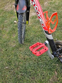 MAYO XC Basic - 5