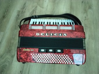 DELICIA CARMEN X lll - 5