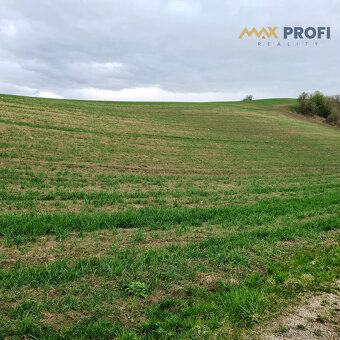 Na predaj, pozemok 5966m2, Turčianske Jaseno, okres Martin - 5