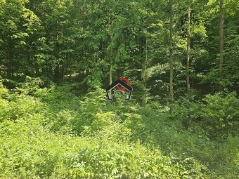 Záhrada vo Zvolene - 5