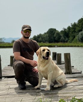 Labrador s PP krytie - 5
