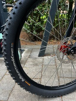 Kellys Spider - 5