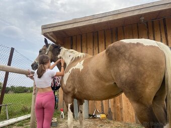 Jazdenie,vychádzky - 5