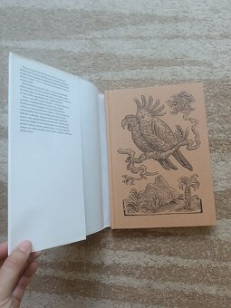 Robinson Crusoe - 5