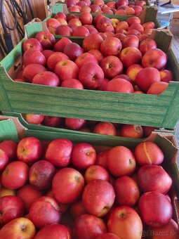 Kapusta rezana 0.70€/kg zemiaky 0.53€/kg - 5