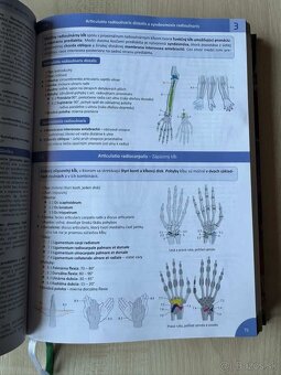 Memorix Anatómie - 5