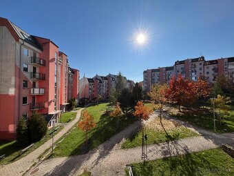Priestranný 2-izbový byt s loggiou a balkónom - 5