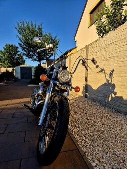 YAMAHA XVS 650 DRAGSTAR CUSTOM - 5