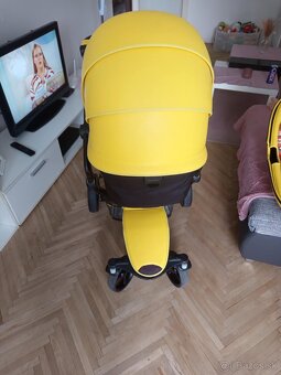 Kocik Mima xari - 5