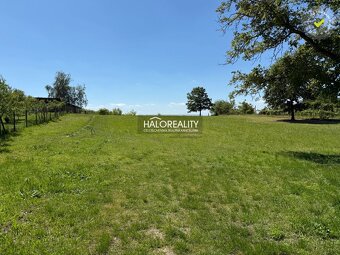 HALO reality - Predaj, rekreačný pozemok Kráľovský Chlmec -  - 5