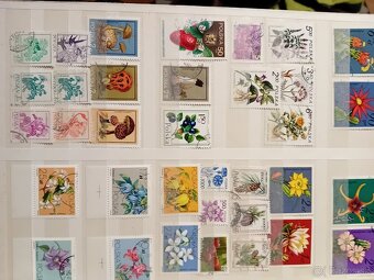 Známky Polsko v albume - 5