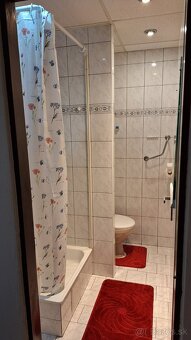 Zariadená garsónka - 5