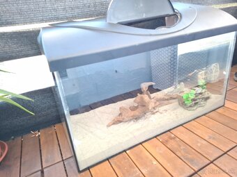 Predám akvarium - 5