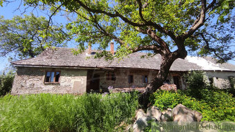 VÝRAZNE ZNÍŽENÁ CENA - Gazdovský dvor v príjemnom prostred - 5