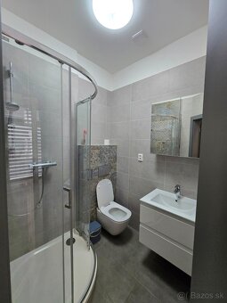 1 izbový Mäsiarska 57- Rental - 1 room Masiarska - 5