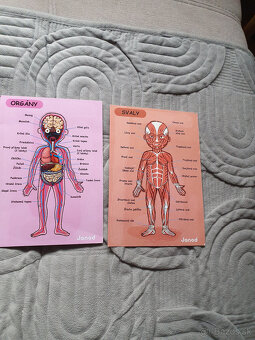 Magnetická skladačka - ľudské telo - 5