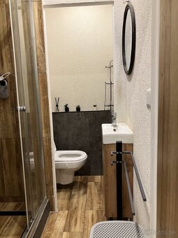 1izbovy byt prenájom - 5