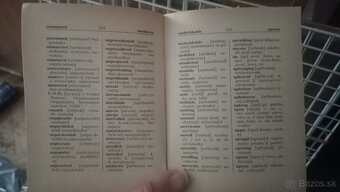 Taliansko. Vrátane slovnika - 5