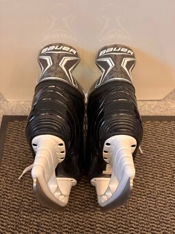 BRUSLE BAUER XLS, VEL. 9 - 5