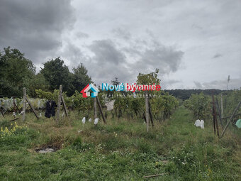 Predaj, rekreačný pozemok-Kozárovce/Staré vinice - 5