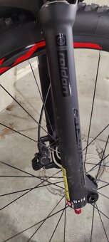 Pells Duke Race 27,5 Carbon - 5