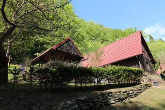 PREDAJ DREVENICE VEĽKÉ ROVNÉ - 5