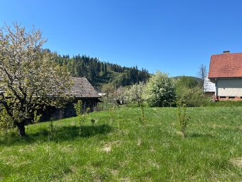 Slnečný pozemok s čerešňou v obci Beňuš - 5