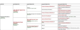 Auvergneský stavač, Braque d'auvergne - 5