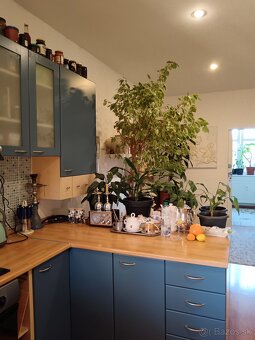 REZERVE VEĽKÝ 2IZB ,51M2, TEHLA ZIMNÁ PRI TUKE - 5