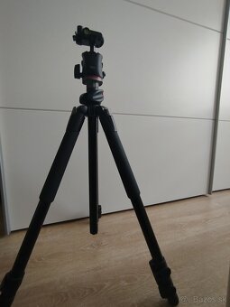 Pavol - 5